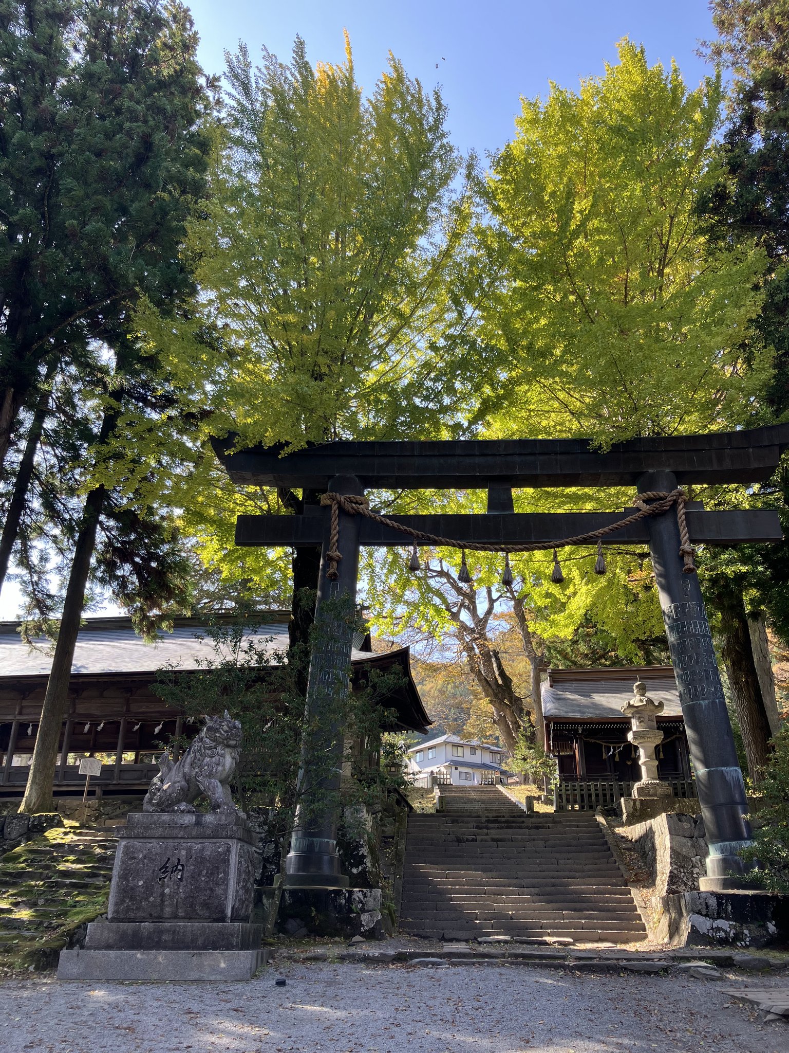 神社の鳥居